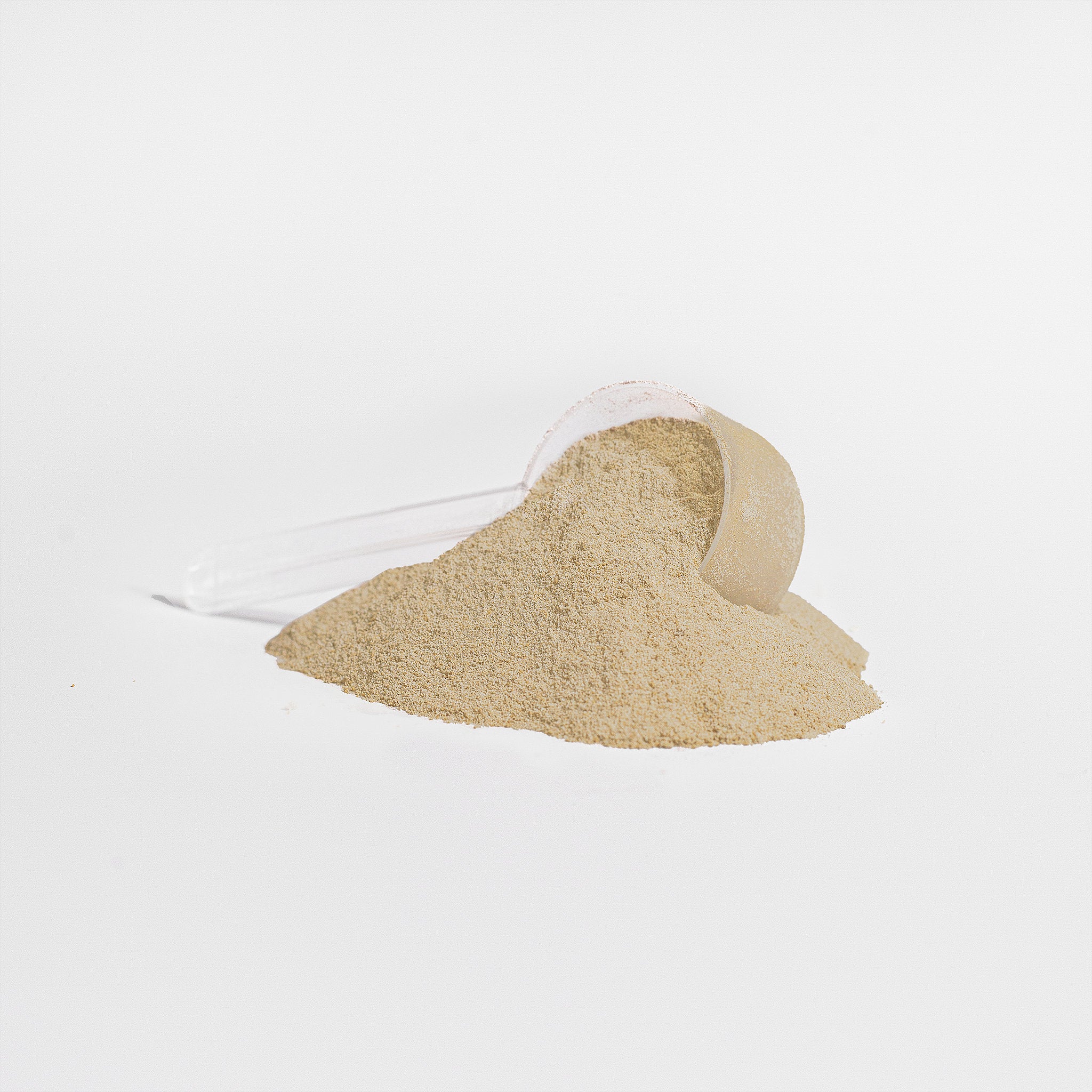 Aislado de proteína de suero 100 % (vainilla): proteína en polvo premium